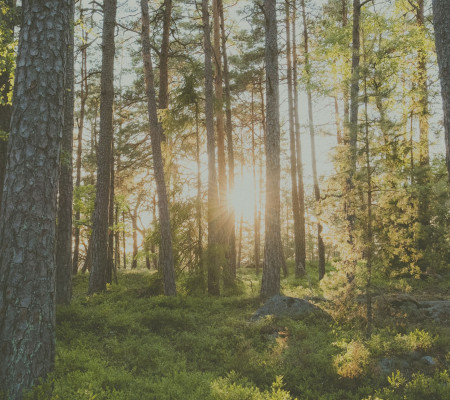 PURO Financen toisen vuosineljänneksen kasvutahti kiihdytti tavoitteiden ohi