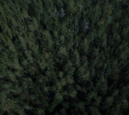 Neljännesmiljardin vuosi 2021 – PURO Financen laskurahoitus