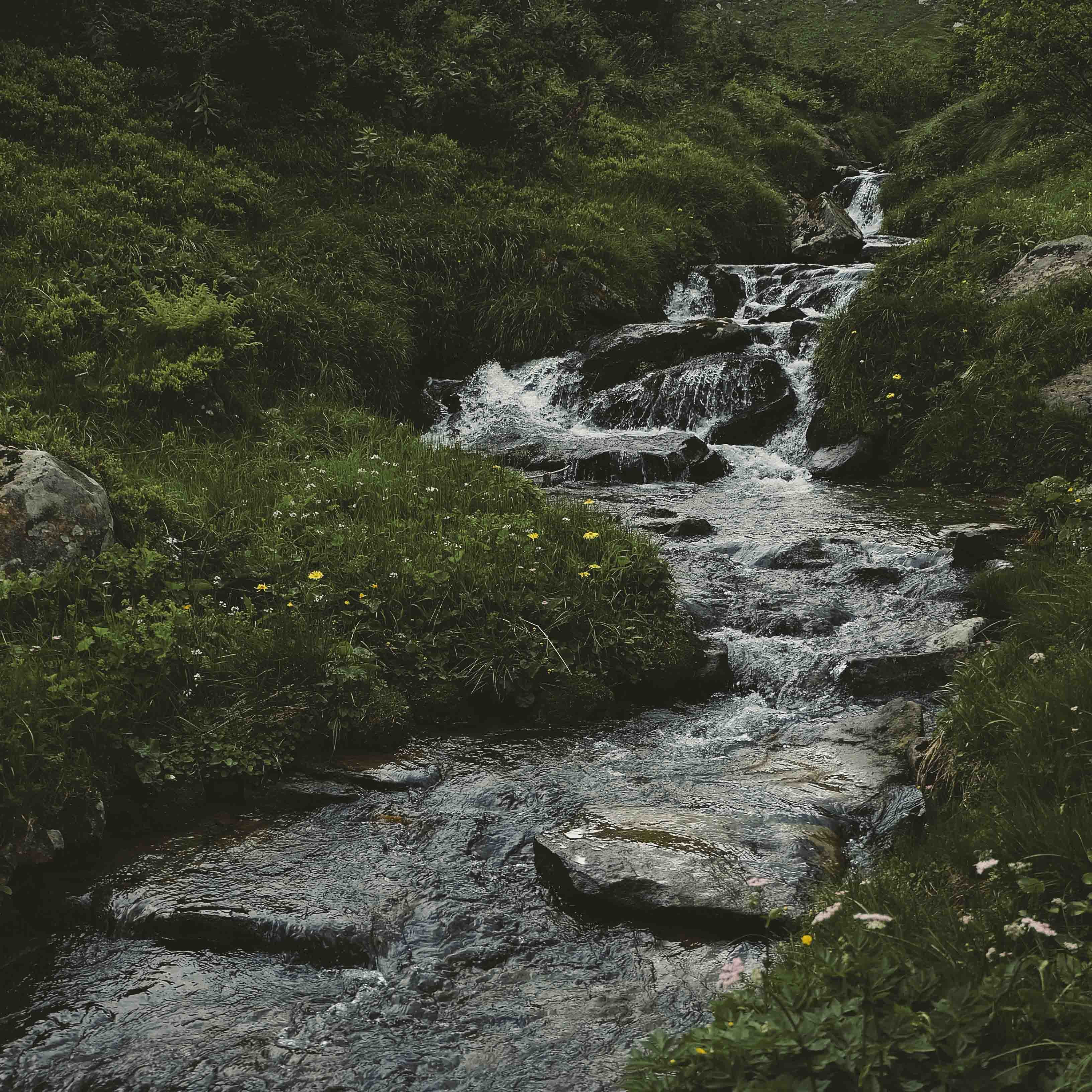 VIRTAUS